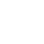 交易ELON安全吗?